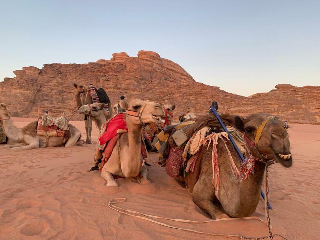 Space Village Luxury Camp Wadi Rum Exterior foto